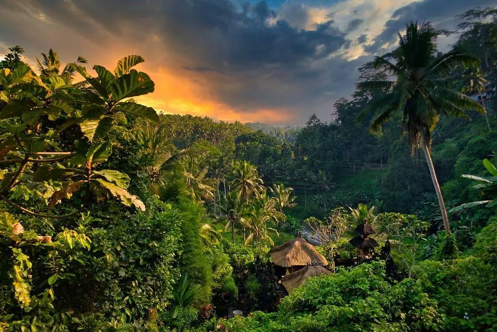 Heaven View 5 A Indonesia